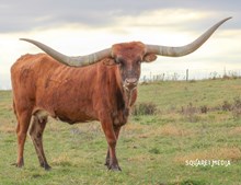 HUBBELLS 007 CATCHIT 721